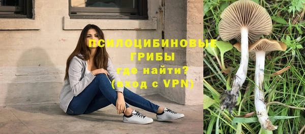 MDMA Верхний Тагил
