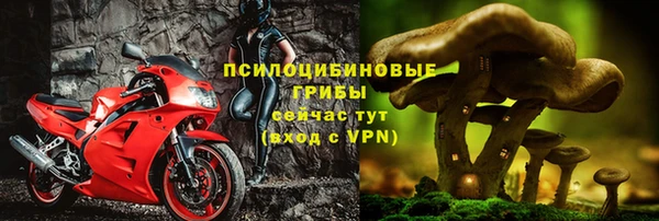 соль ск Верея