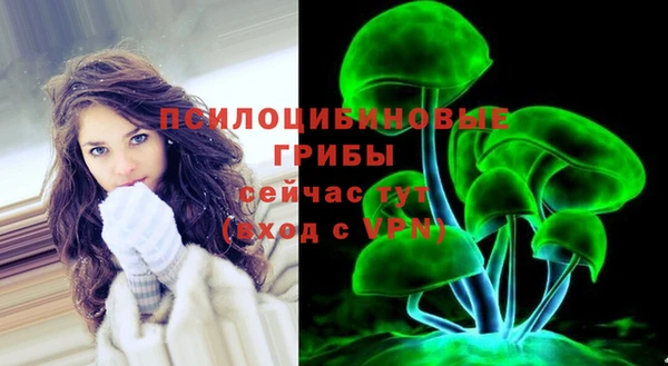 соль ск Верея