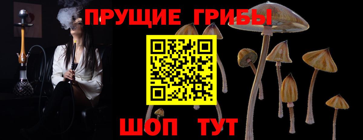 Псилоцибиновые грибы Cubensis  Псилоцибиновые грибы GOLDEN TEACHER  Назарово  Вход с VPN 